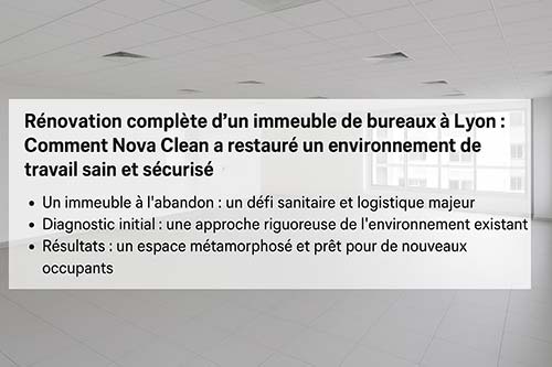 Étude de cas Nova Clean Lyon Rénovation complète dun immeuble de bureaux à Lyon