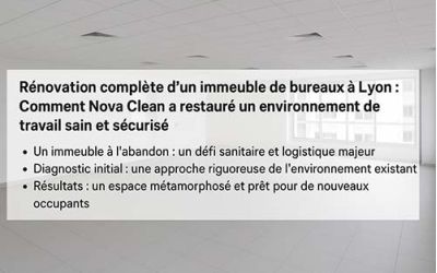 Etude de cas: Rénovation complète d'un immeuble de bureaux à Lyon